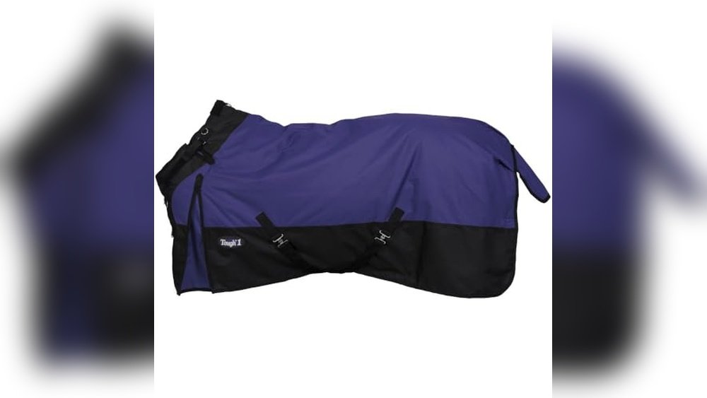 Best Turnout Blankets for Horses