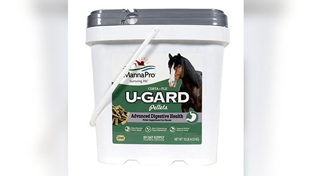Best Ulcer Supplement for Horses