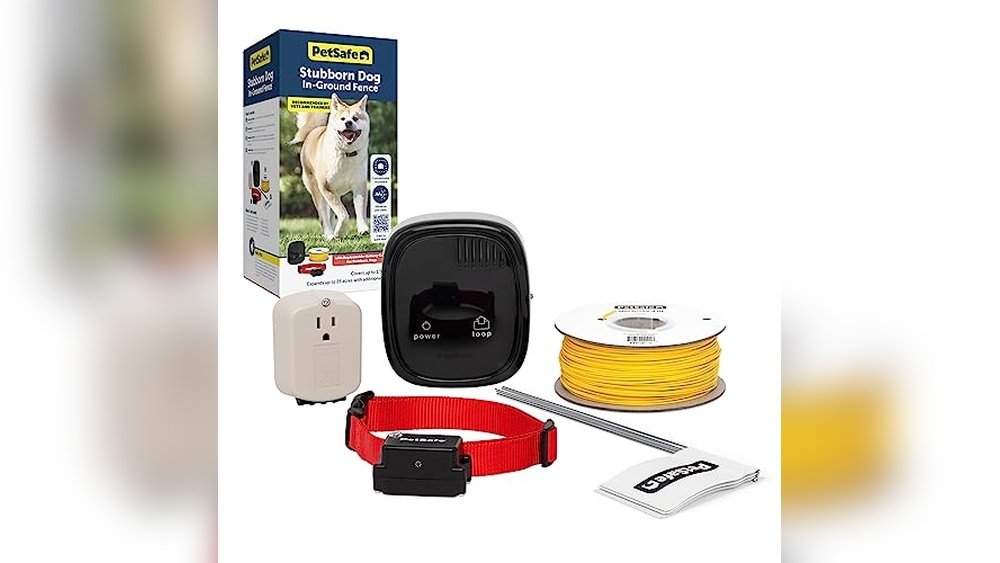 Best Underground Dog Fence for Large Dogs