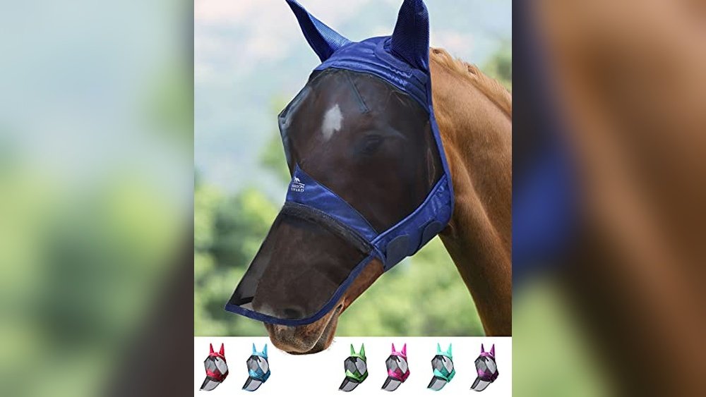 Best Uv Protection Fly Mask for Horses