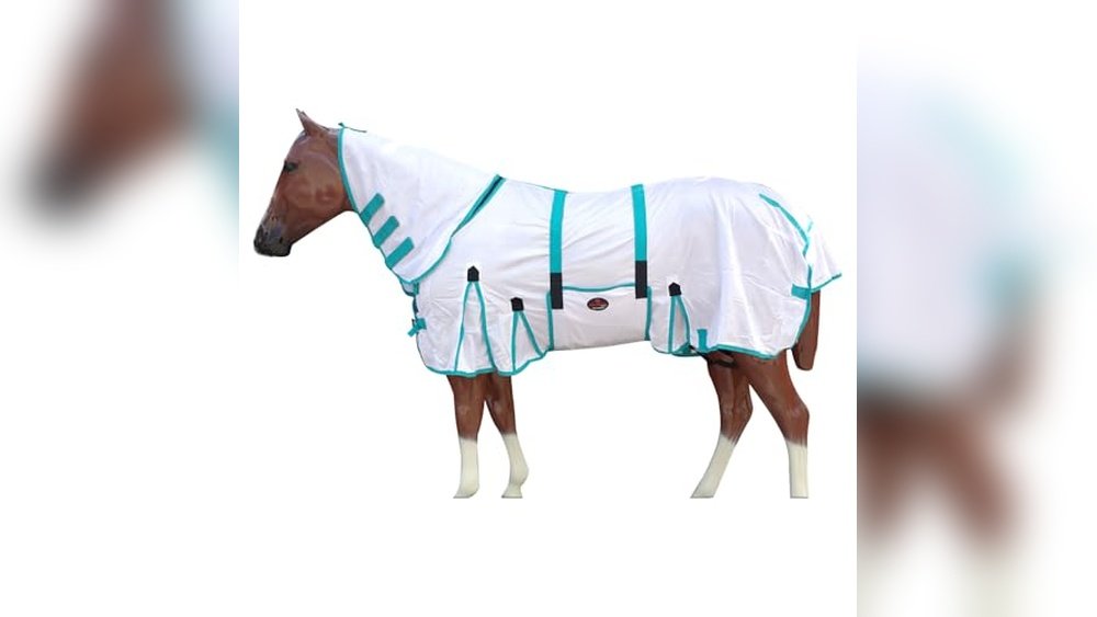 Best Uv Protection Fly Sheet for Horses