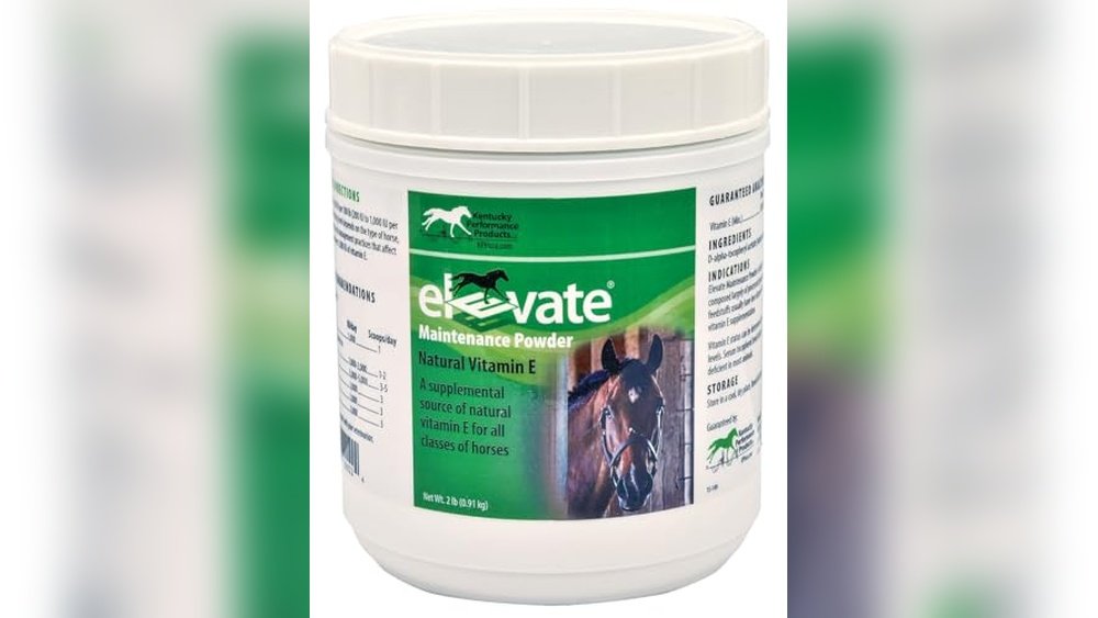 Best Vitamin D Supplement for Horses
