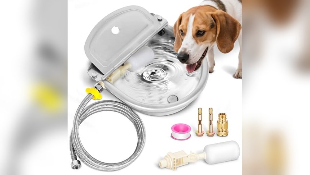 Best Water Trough for Horses