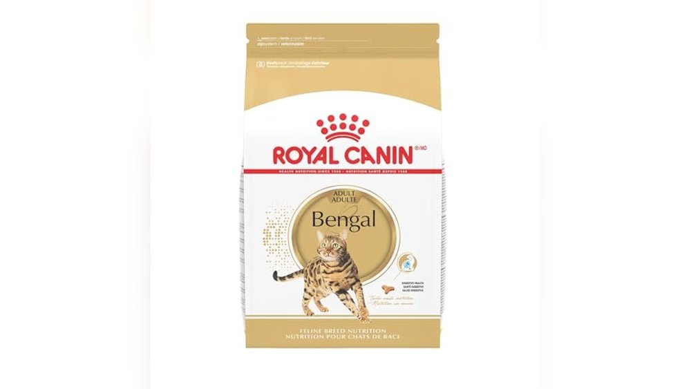 Best Wet Cat Food for Bengals
