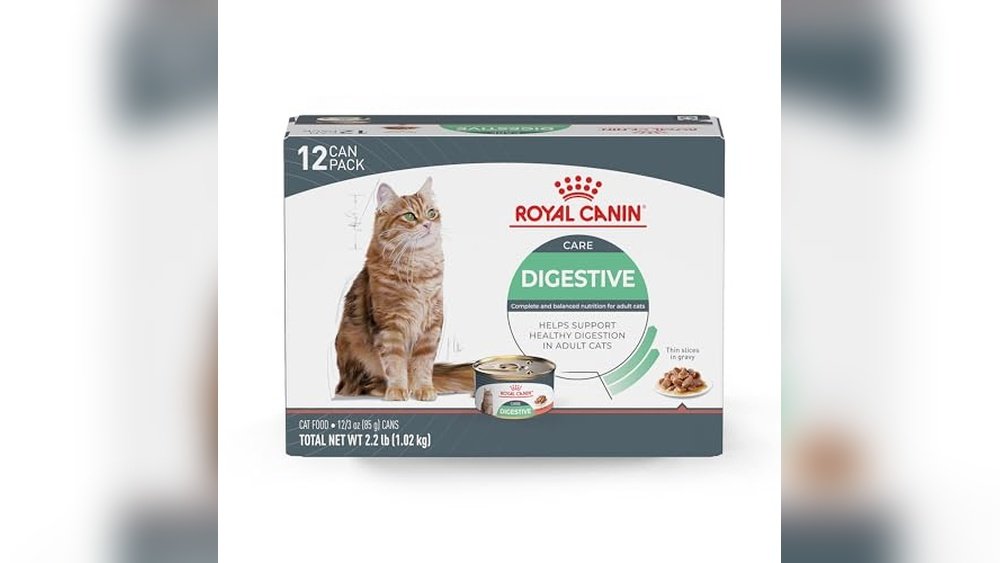 Best Wet Cat Food for Pancreatitis
