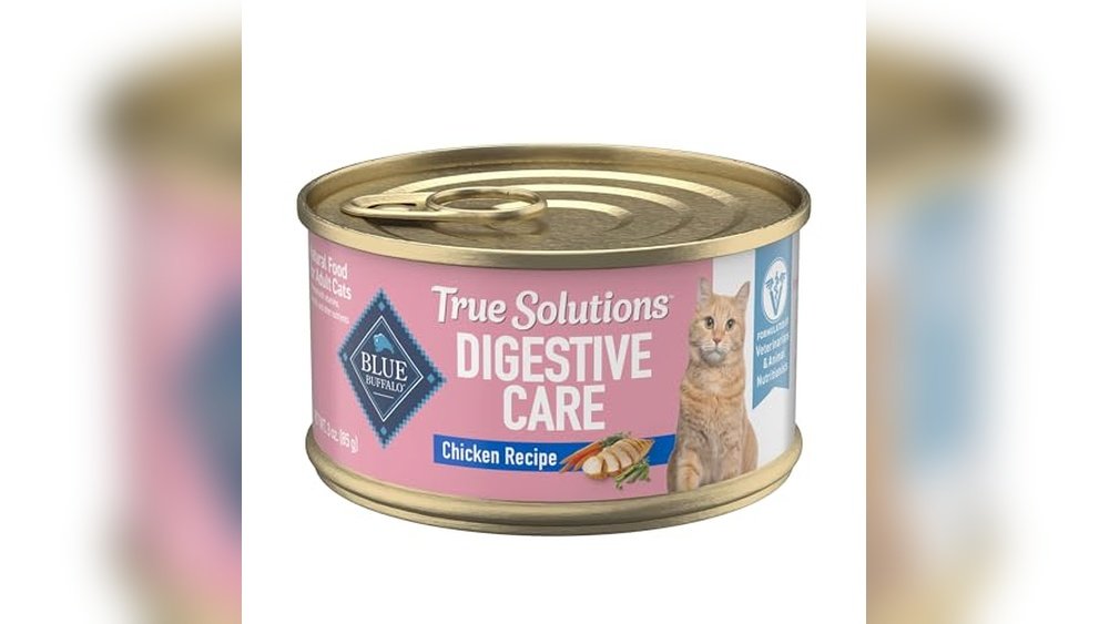 Best Wet Food for Constipated Cat
