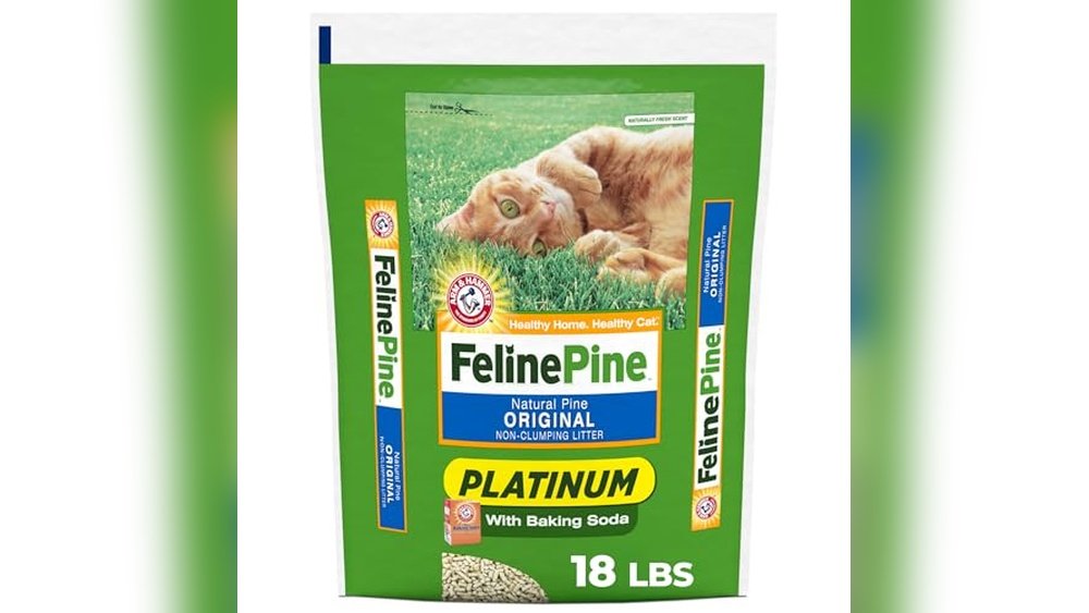 Best Wood Pellets for Cat Litter