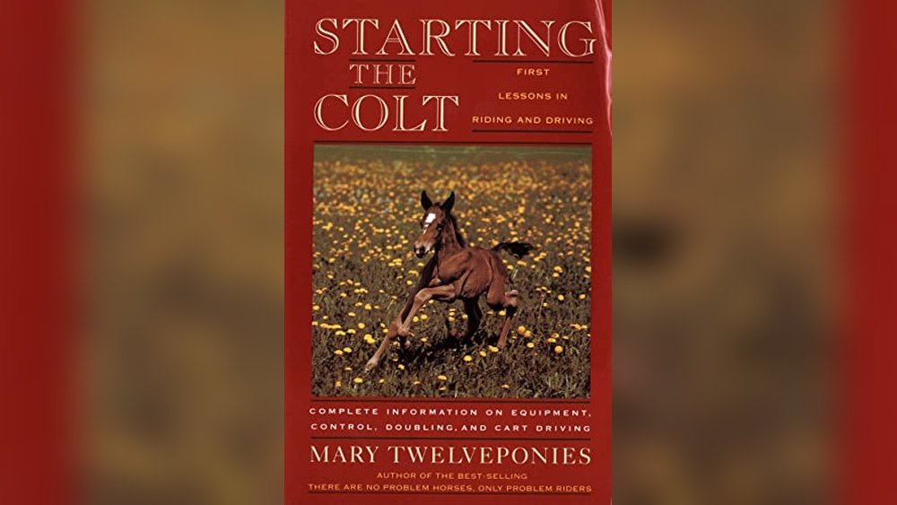 Best Work Horse Training in Pennsylvania for Beginners