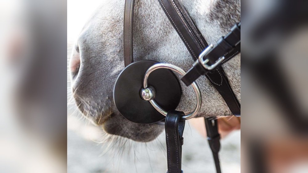 Bit Guards for Horses