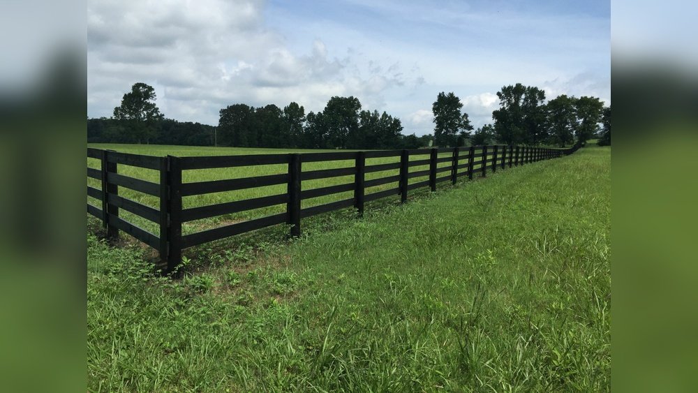 Black Horse Fence