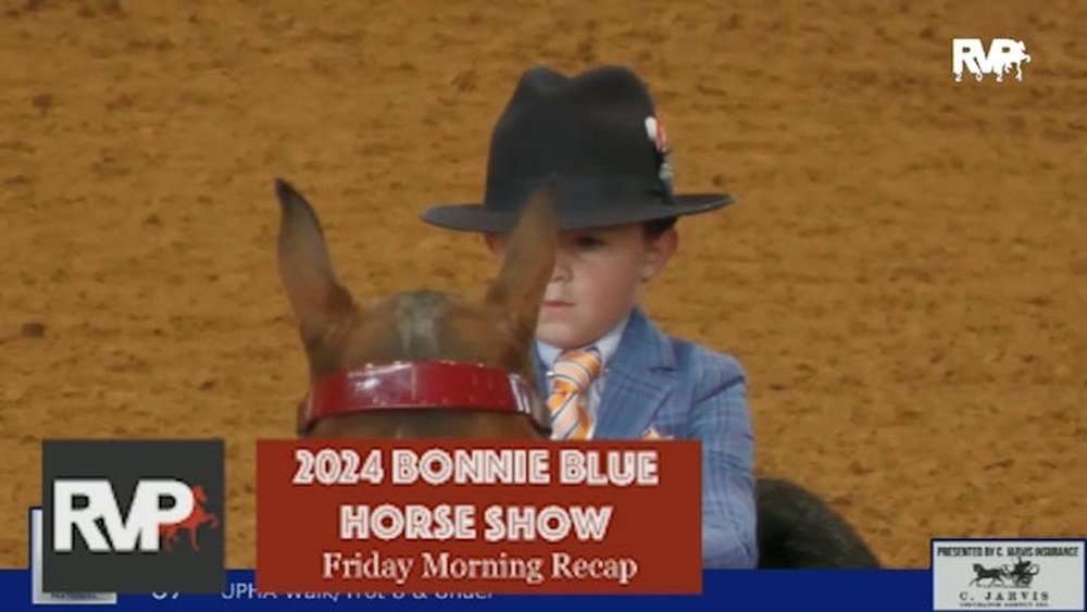 Bonnie Blue Horse Show 2024