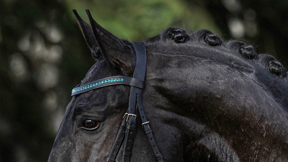 Browbands for Horses