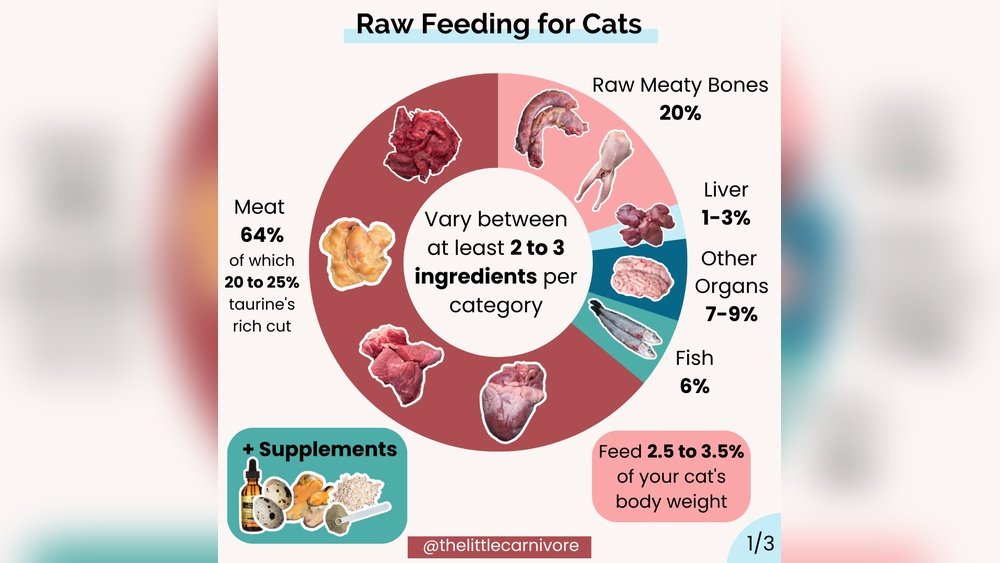 Cat Raw Diet How Much to Feed