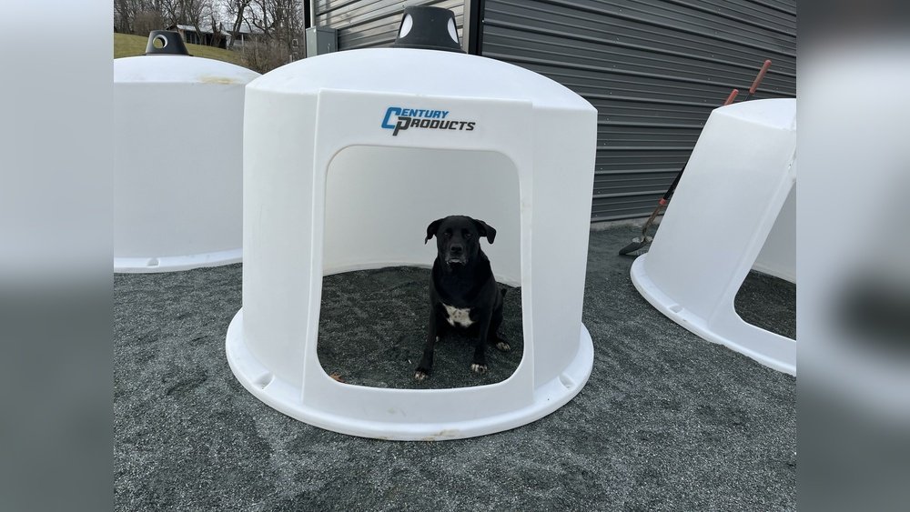 Century Small Animal Hut