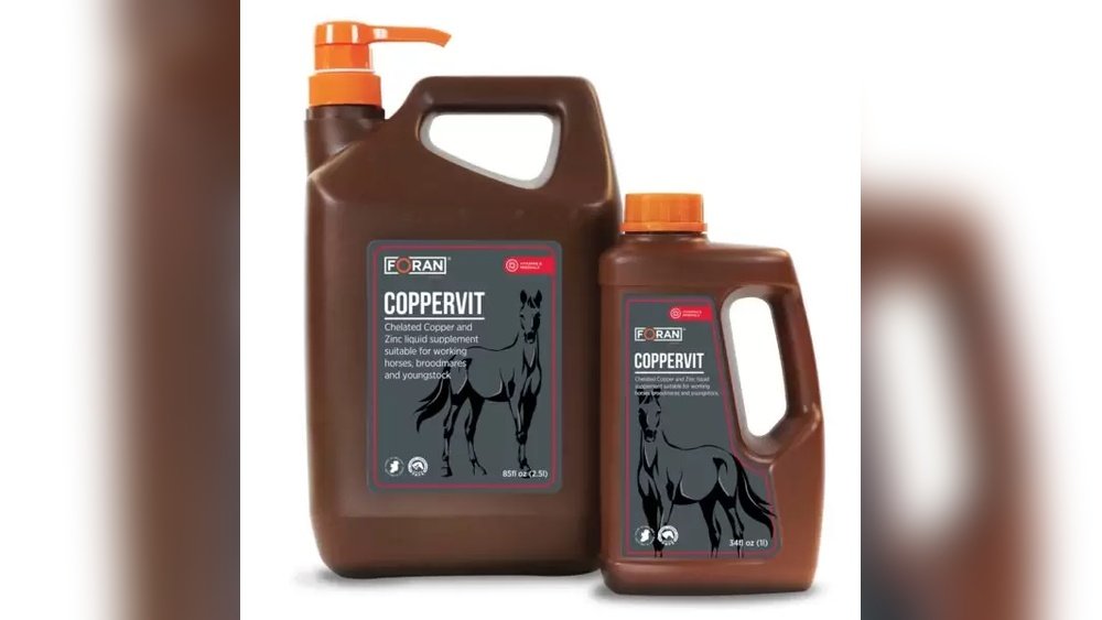 Copper Supplement for Horses