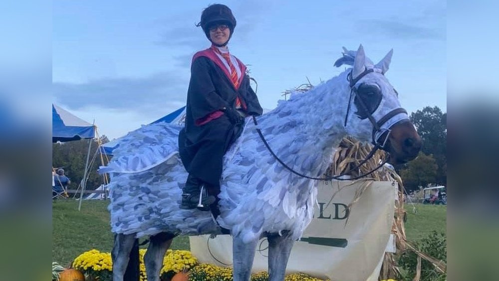 Creative Horse And Rider Costumes