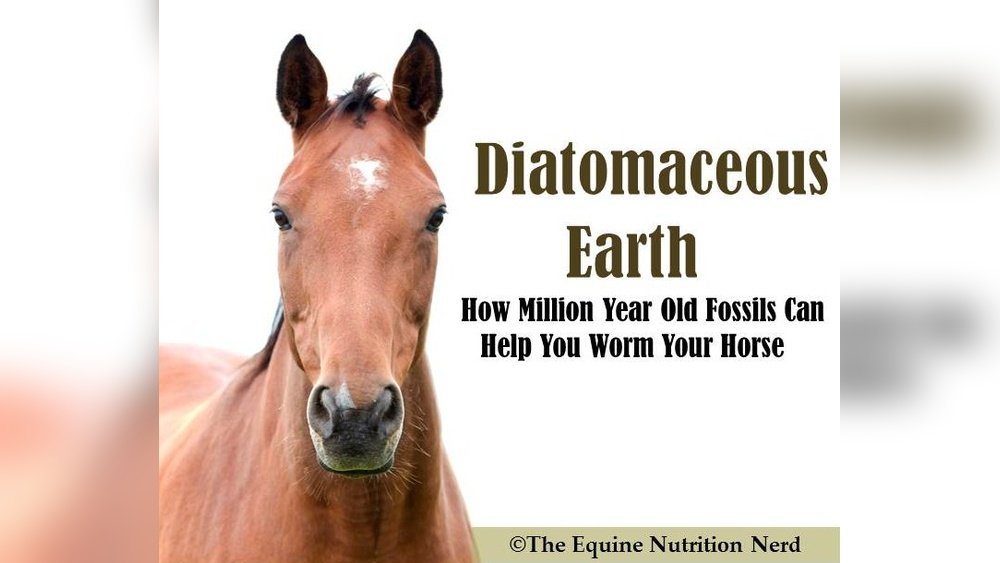 Diatomaceous Earth And Horses
