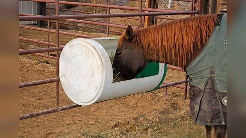 Diy Horse Hay Feeder
