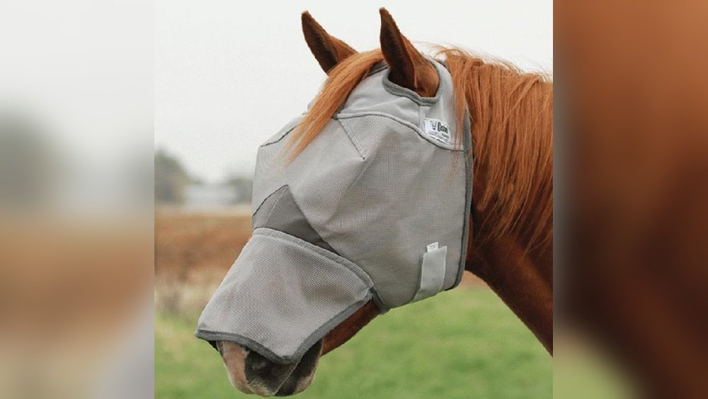 Draft Horse Fly Mask