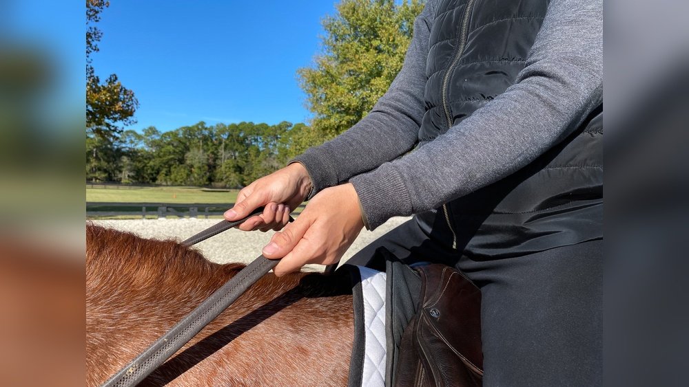 Driving Reins for Horses