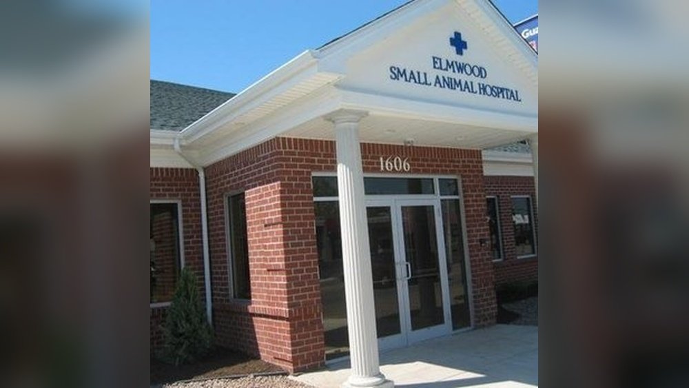 Elmwood Small Animal Hospital Kenmore