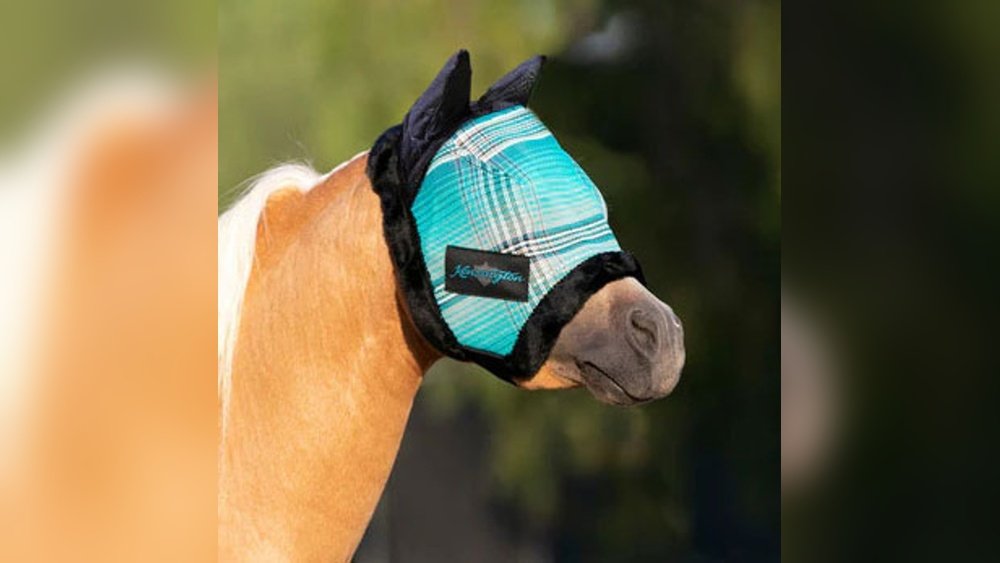 Fly Mask Miniature Horse