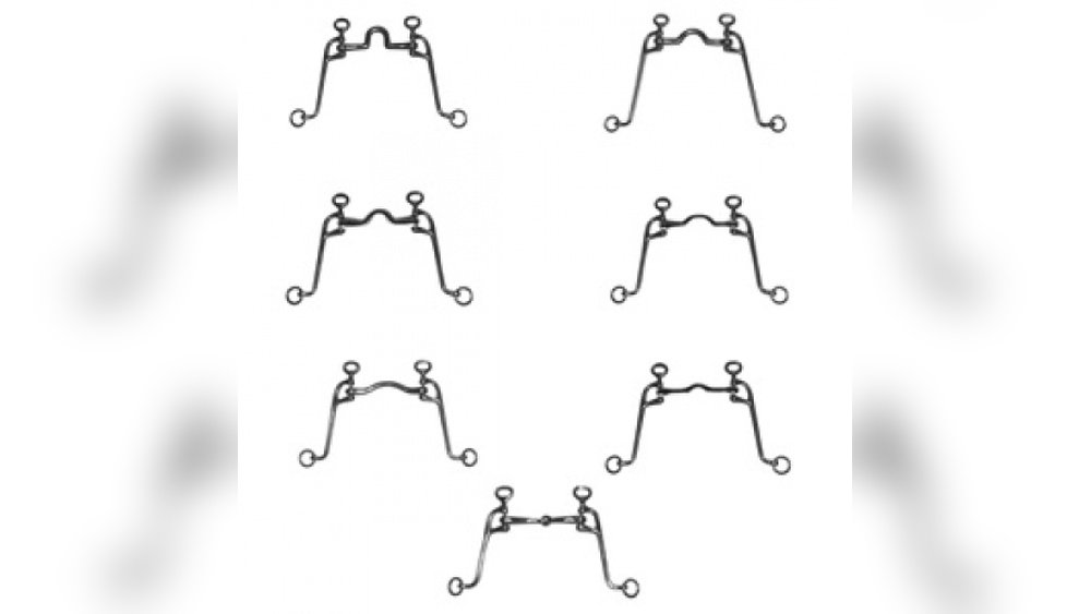 Gaited Horse Bits