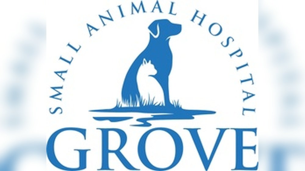 Grove Small Animal Hospital Ok