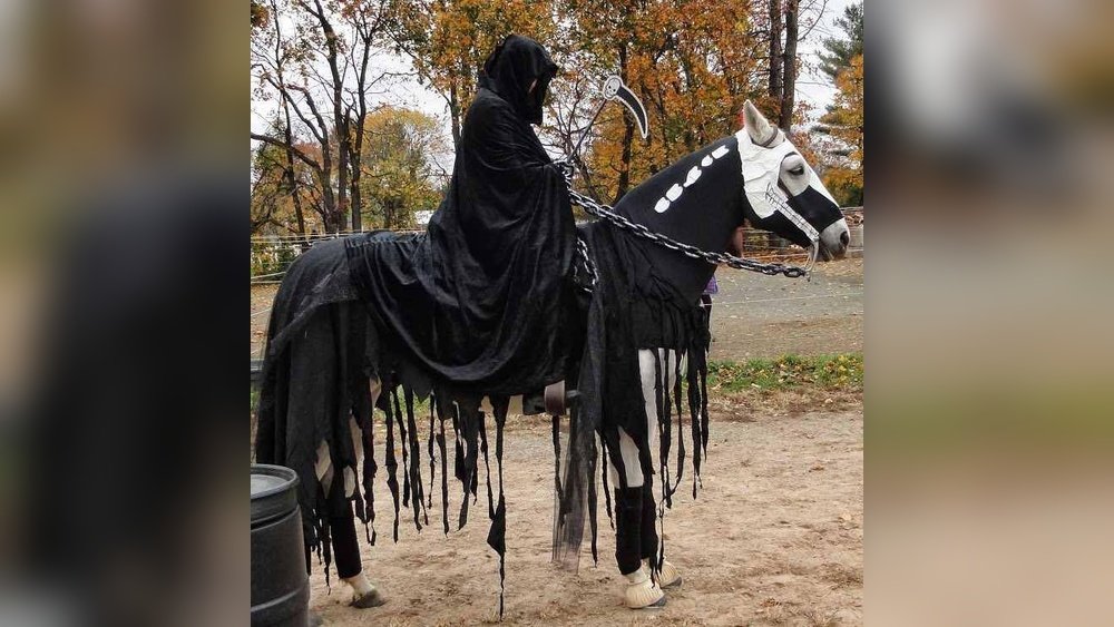 Halloween Costume Horse