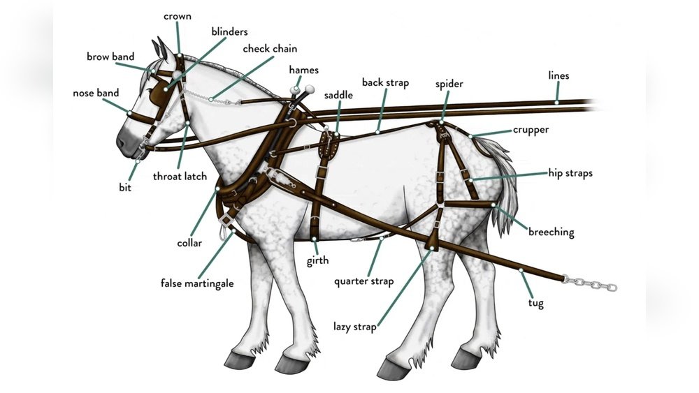 Harness Parts Horse