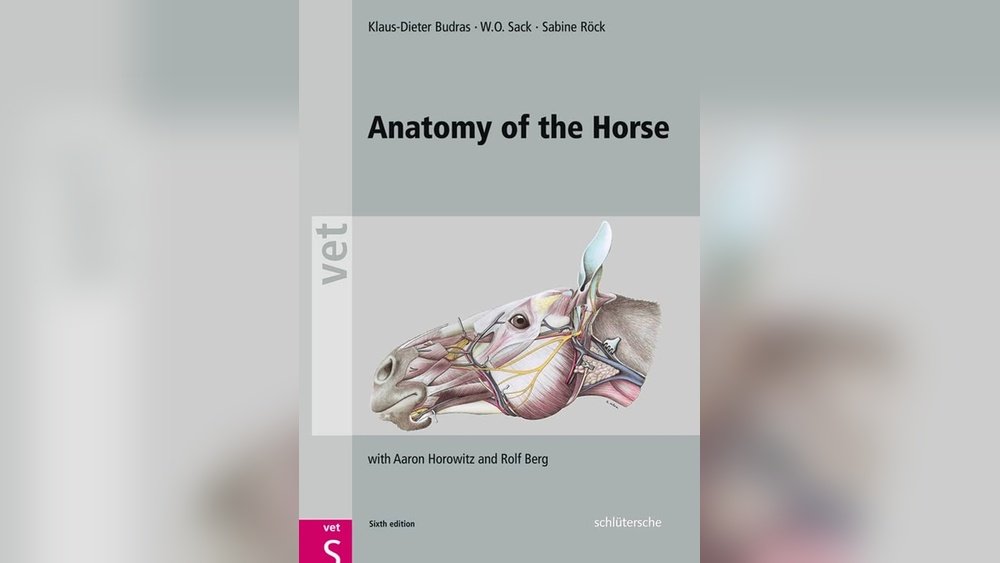 Horse Anatomy Book