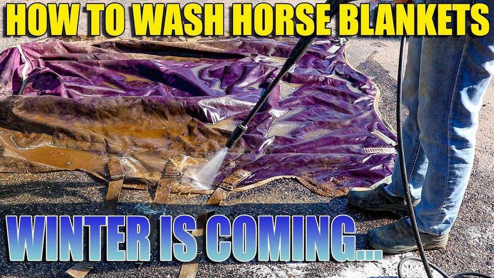 Horse Blanket Cleaning near Me