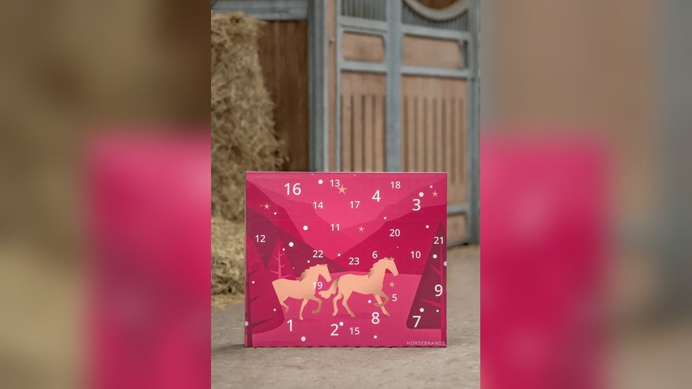 Horse Calendars 2025