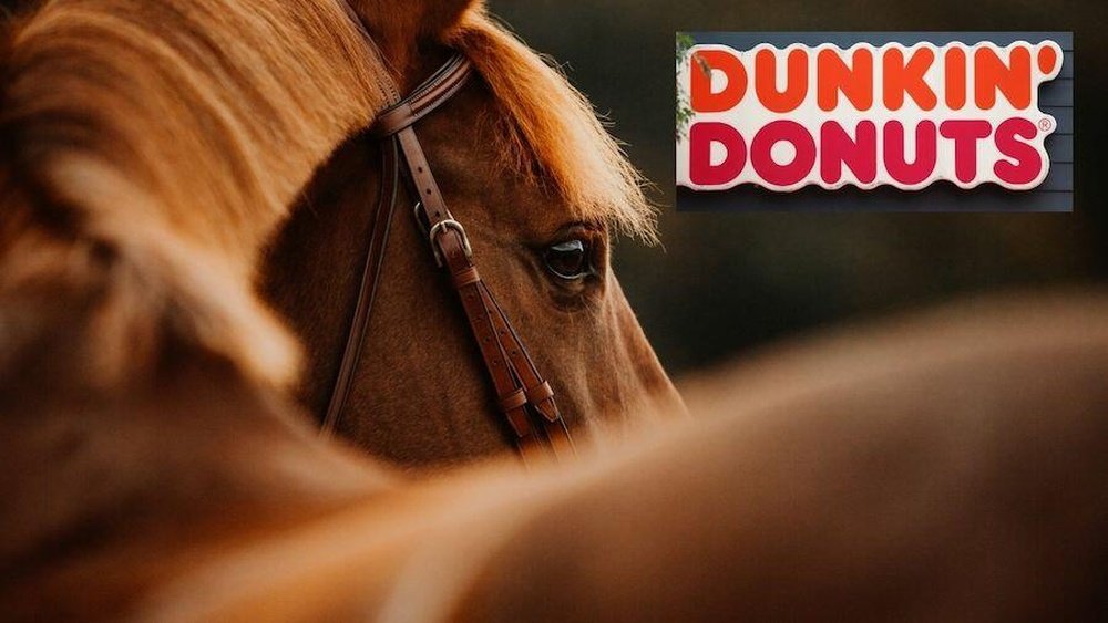 Horse Donuts