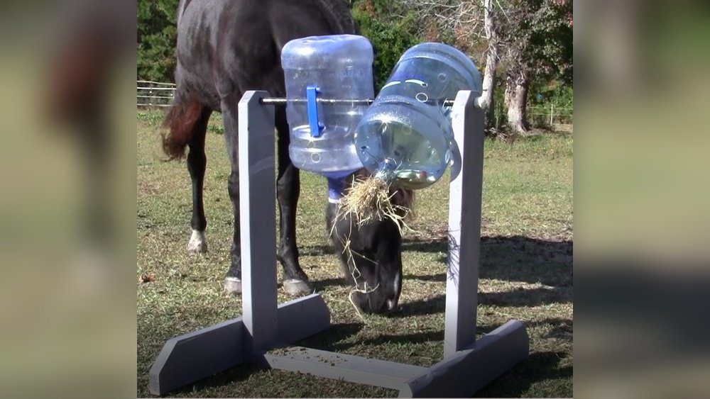 Horse Enrichment Toys