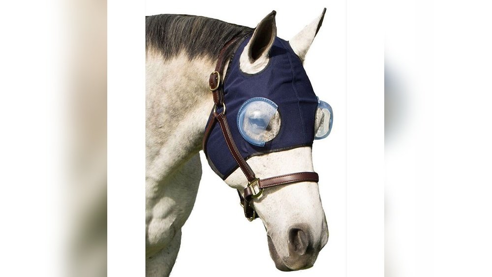 Horse Eye Protection