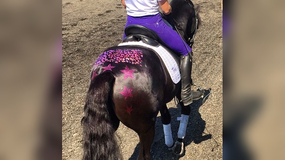 Horse Glitter