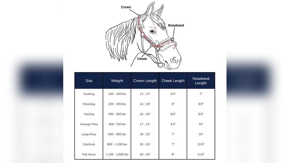 Horse Halter Size Chart