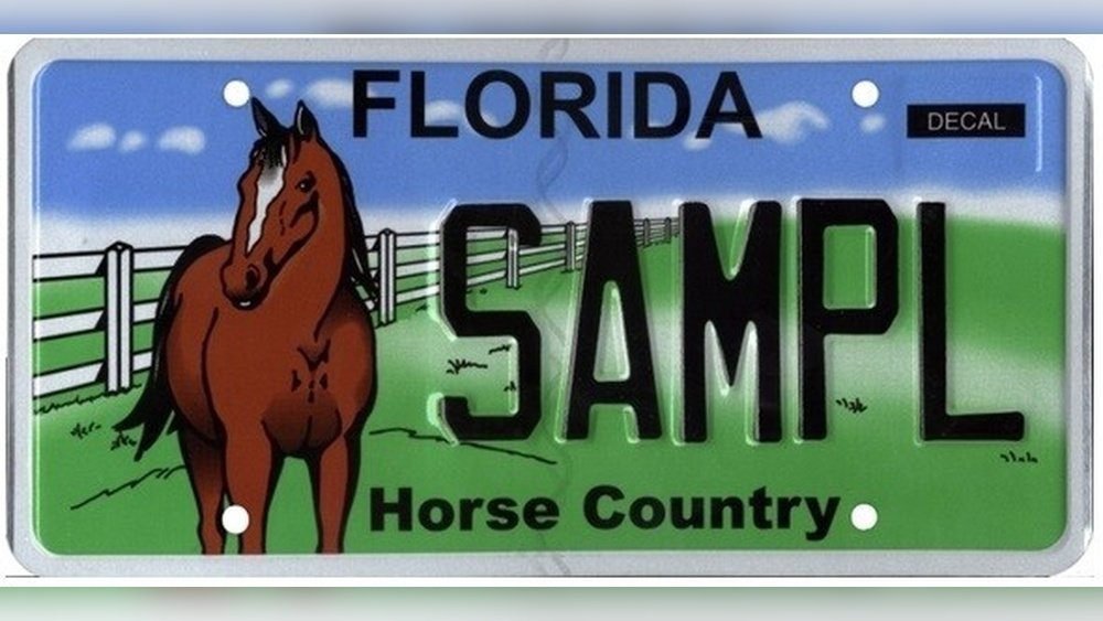 Horse License Plate