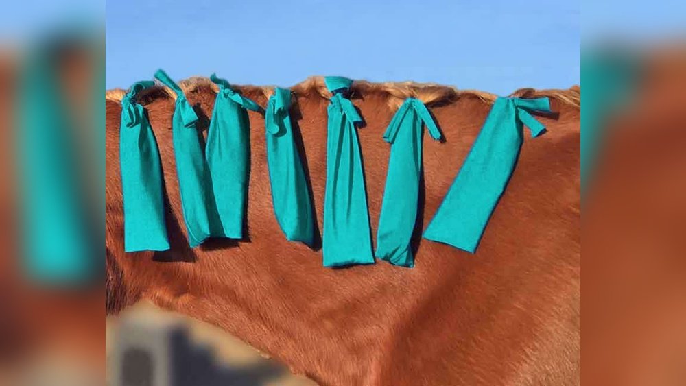 Horse Mane Bags
