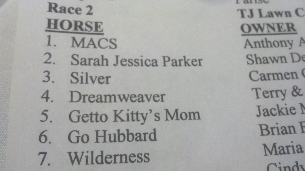 Horse Names Night at the Races