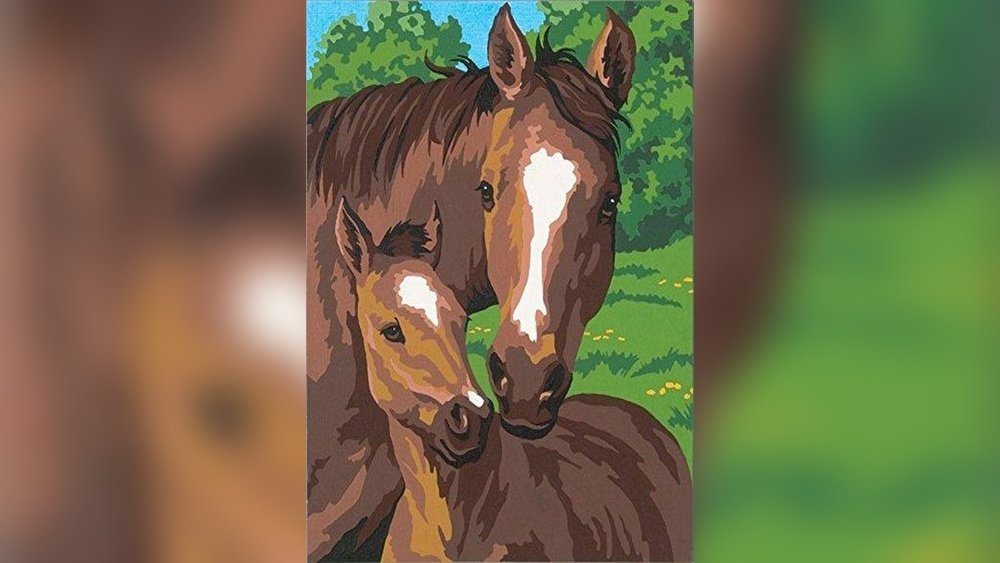 Horse Paint by Numbers