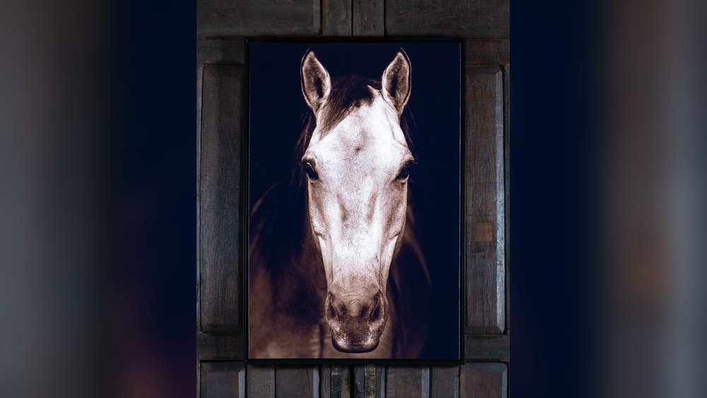 Horse Picture Frames