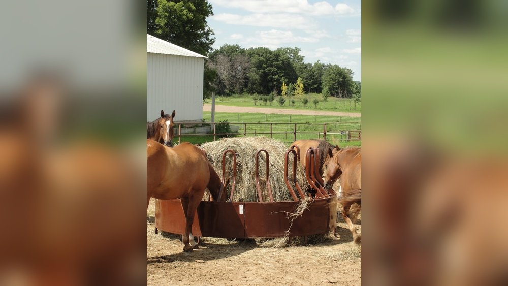 Horse Round Bale Feeder