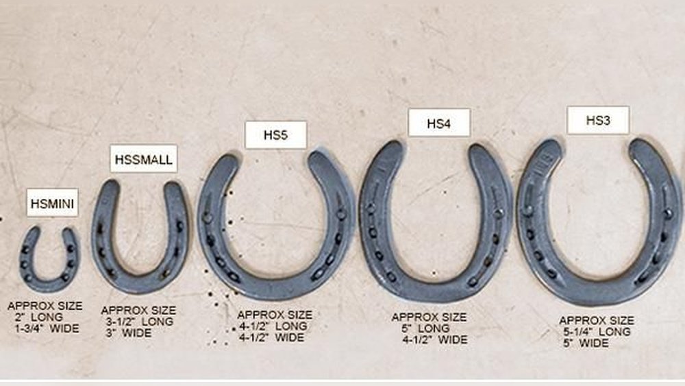Horse Shoe Sizing Chart
