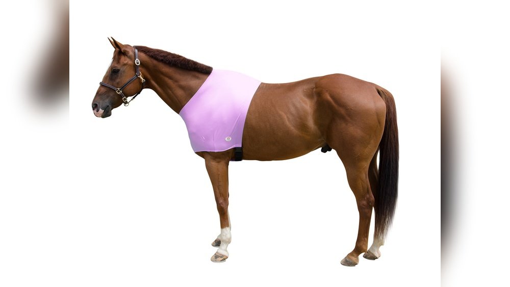 Horse Shoulder Guard