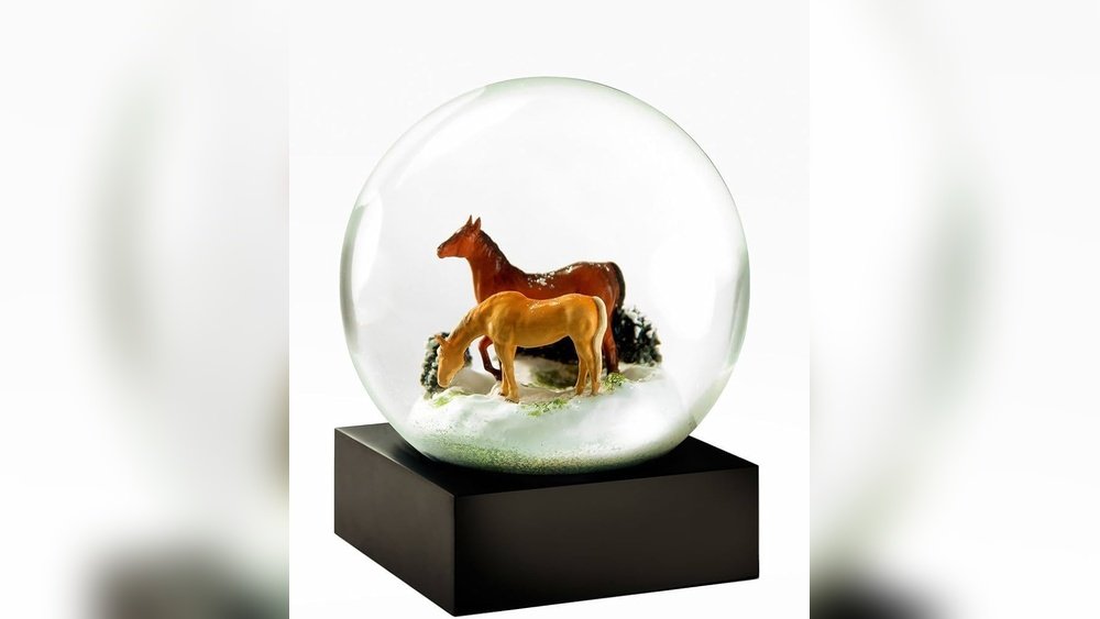 Horse Snow Globe