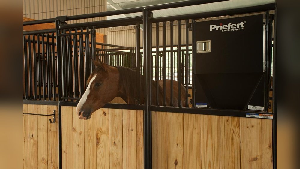 Horse Stall Feeders