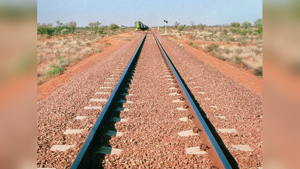 Horse Surgery Table Support Rail System