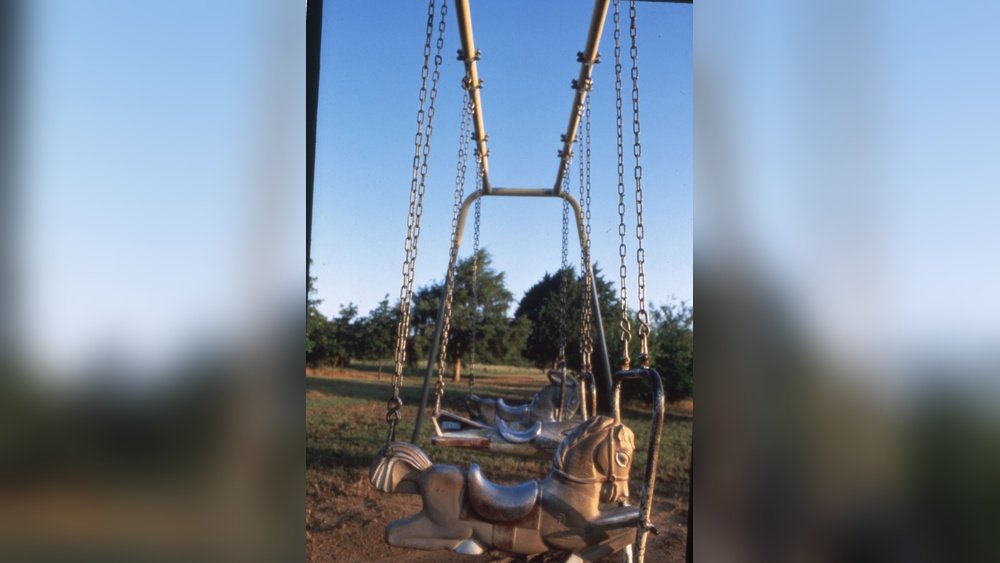 Horse Swings